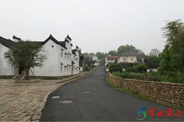 安吉人均_安吉白茶