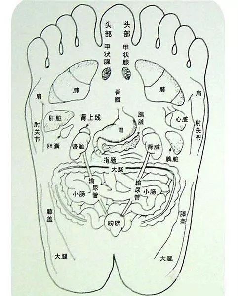 最全的脚部高清穴位反射图,哪里有病一看便知(果断收藏)