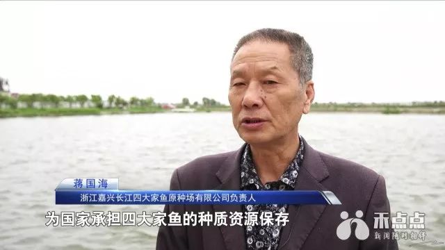 王江泾gdp_一把手 访谈丨王江泾镇 打造长三角一体化协调区璀璨新城
