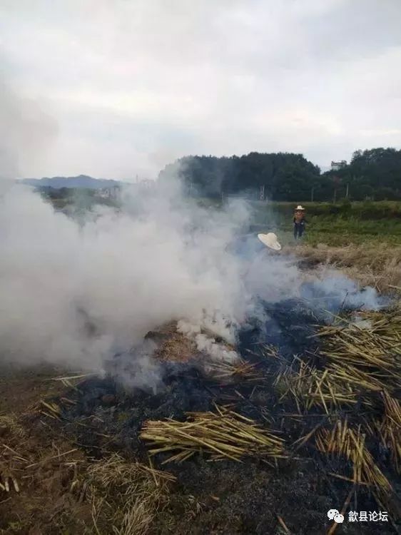 万竹王村人口_长治王村机场图片