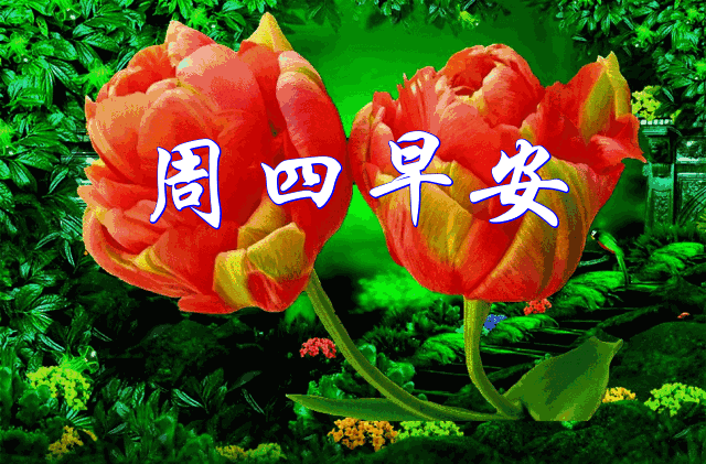 早上好,一声祝福,一句问候,好运相随,幸福圆满!周四
