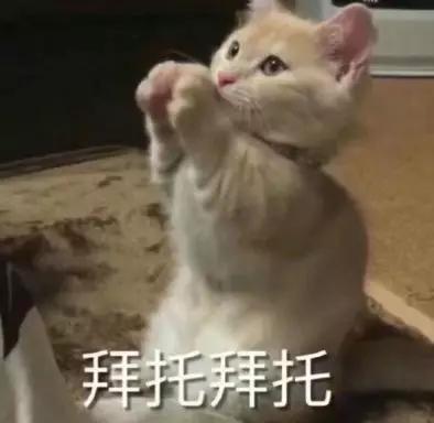 99%的人都搞错了!给猫咪剪指甲的正确姿势,你