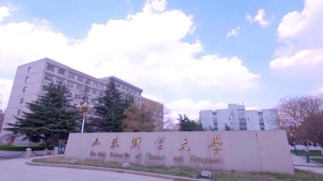 3,山东财经大学