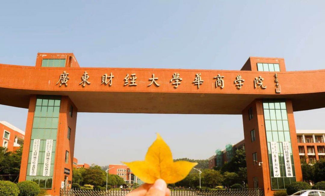 财务管理,审计审计(it方向)广东省第一个独立学院广州商学院广州商