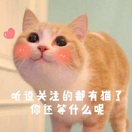 b586d3180d9d4097abcd74fe7688cede.jpeg