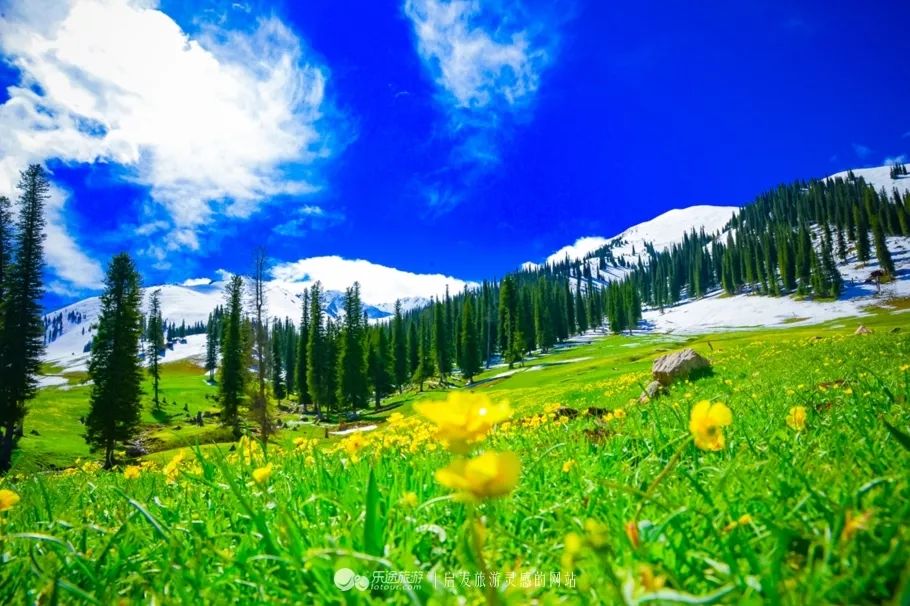 路美景,且美的风格不同 同时又涵盖了所有的地形地貌: 雪山,草原,高原