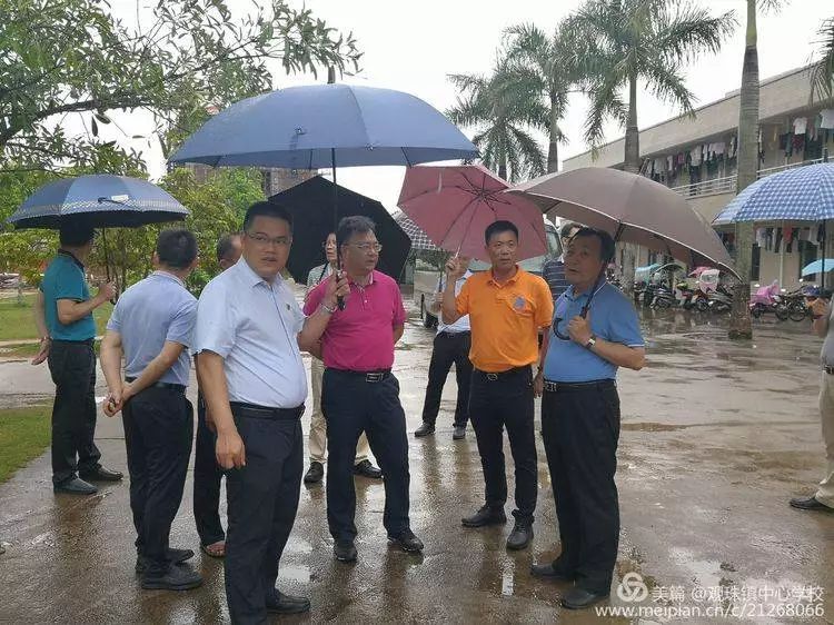 风雨无阻电白区常务副区长杨德贤率队到观珠镇各小学调研指导工作