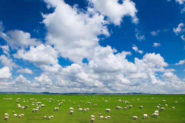 中国最美的6大草原,跟我去放马牧羊可好?