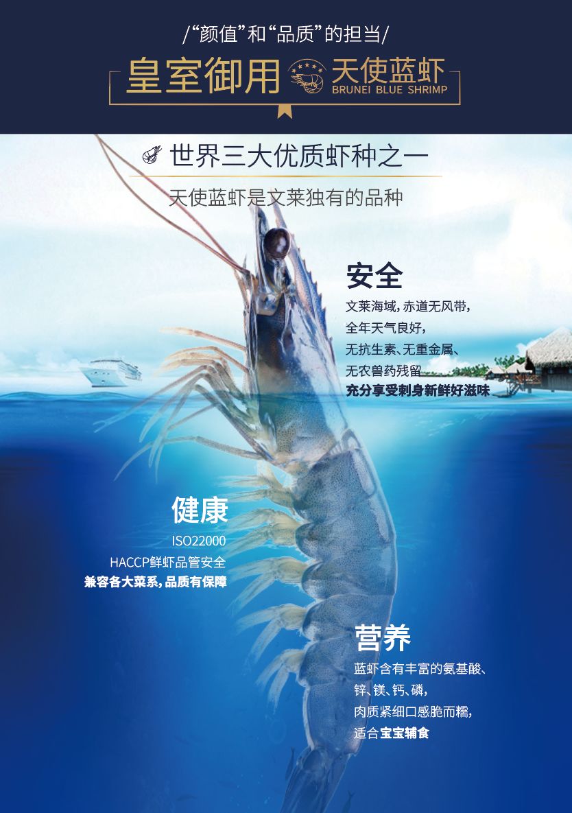 文莱蓝虾天使般安心存在舌尖上的至尊享受