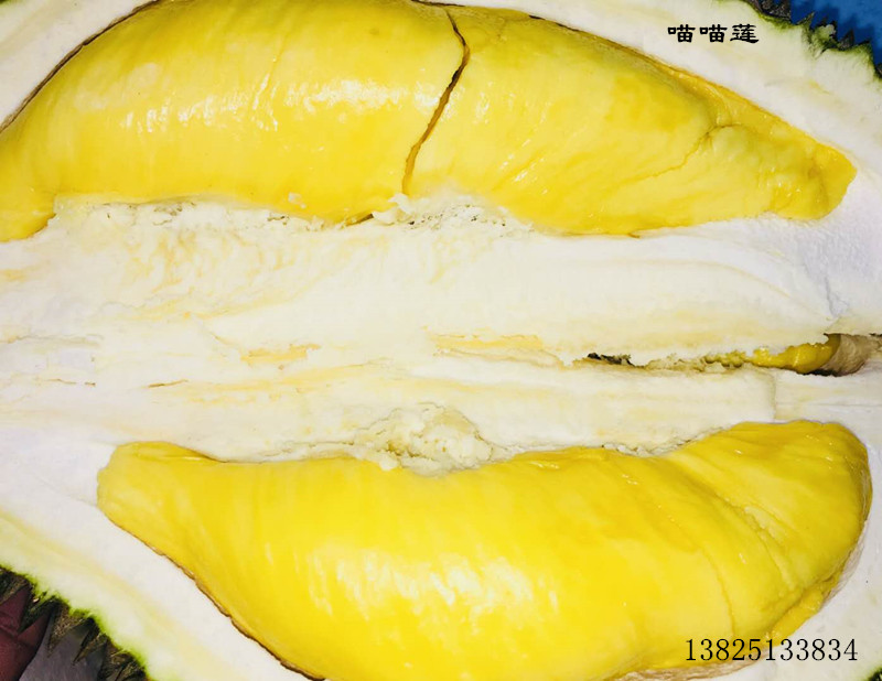 榴莲排名_榴莲品种排名图片大全(2)