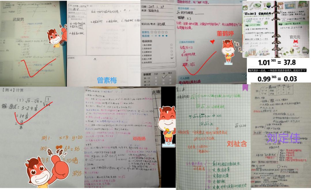 bf6f523d2be345b7a777a33812eeb1bb.jpeg