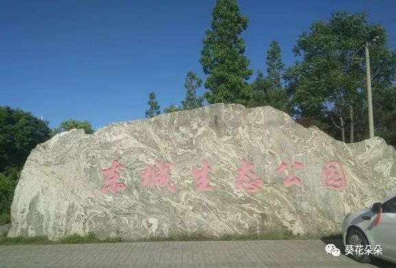 东城生态公园位于遵化市东二环中部以东,西临人工改造的沙河,占地