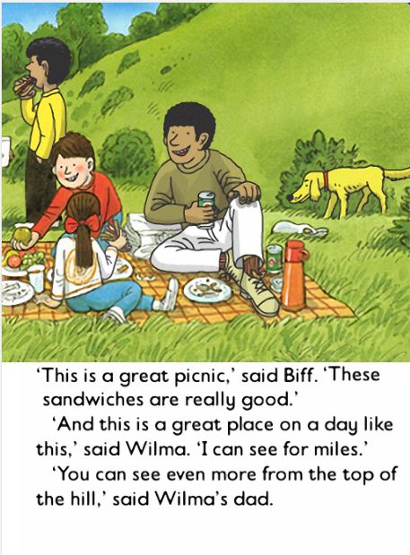 "this is   great picnic," said biff.