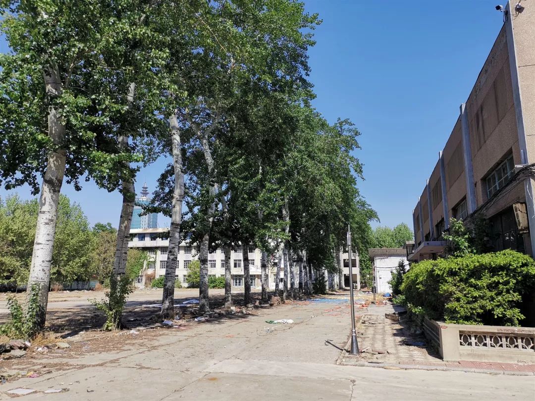 友谊街道奋力推进原唐山职业技术学校光明路东
