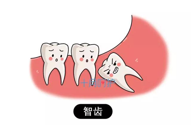                     孕期口腔问题会影响胎儿健康！做好这几点很重要