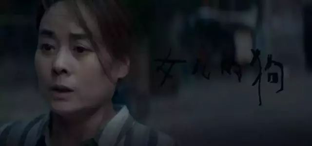 【一条狗的使命2】母亲节催泪短片上线,倾情演绎 澳门网上葡京真人