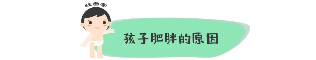                     原创            身体“发福”，受之父母，白白胖胖也要有个度