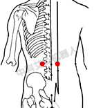 <a href=http://www.52fukang.com/yybjs/ target=_blank class=infotextkey>腰椎间盘突出</a>肾俞取穴