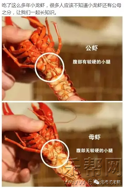 东西南北中:小龙虾,大龙虾做法大全详解.