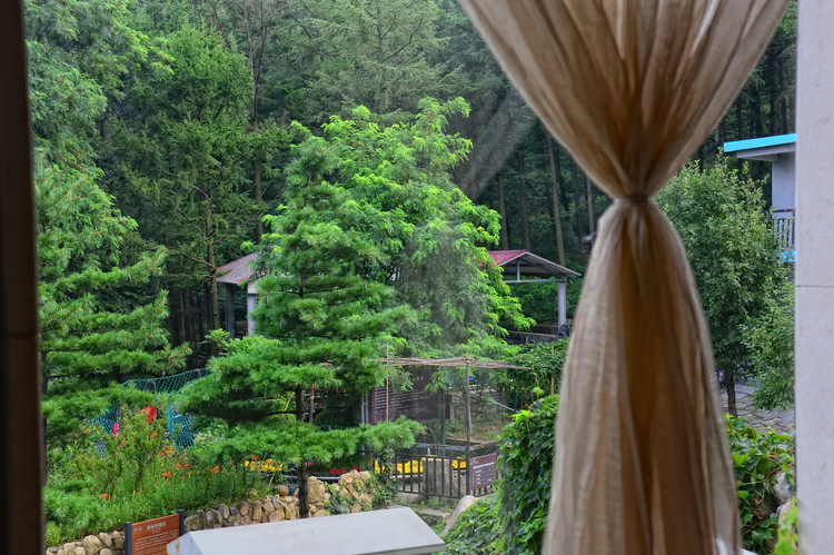 周末自駕雲蒙山 旅遊 第27張