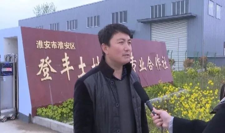 车桥镇丰年村 党建引领产业富村 开启脱贫增收新路径