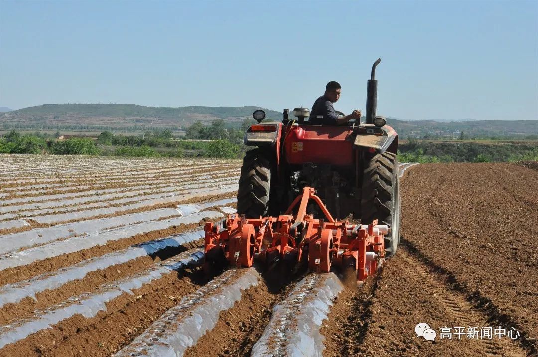 哪里买红薯专用犁 e5b86e9d138547c39e96ed355efe8d72.jpeg