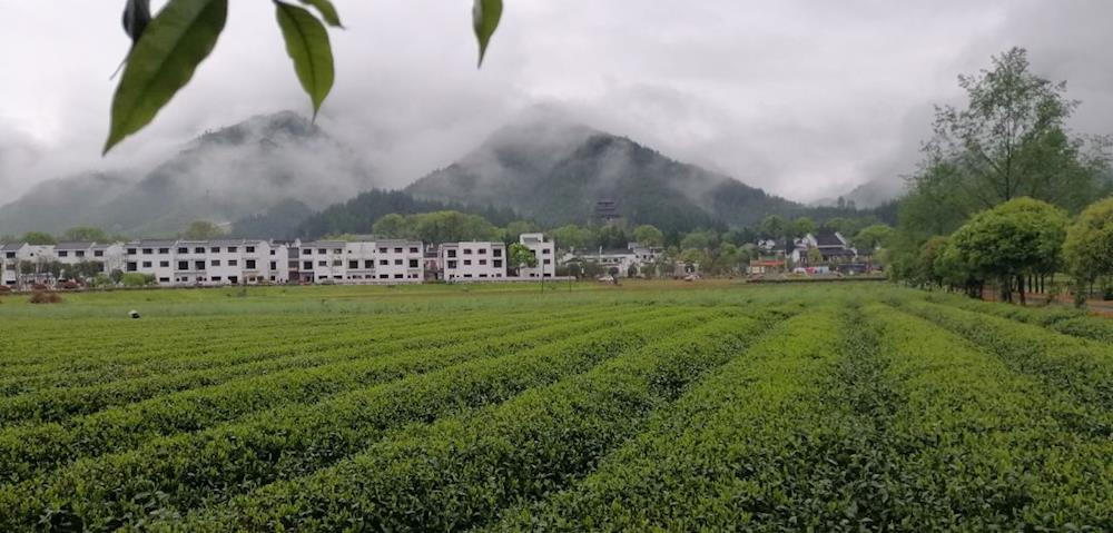 到征村乡东浒寨景区探秘寻幽