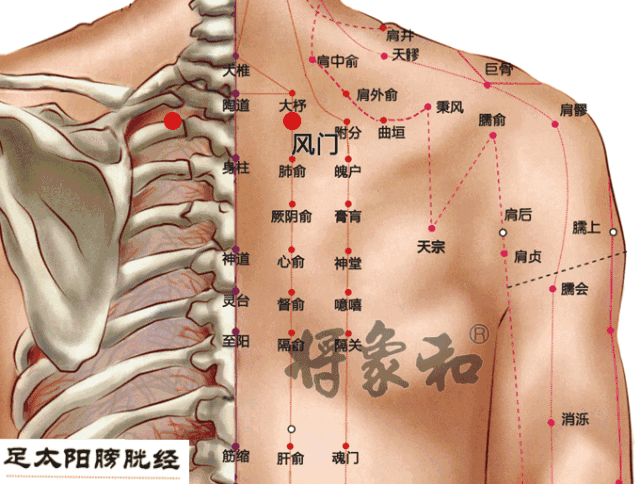 中医认为,寒最容易入侵的地方就是颈部和背部,而风门正好是处于项背部