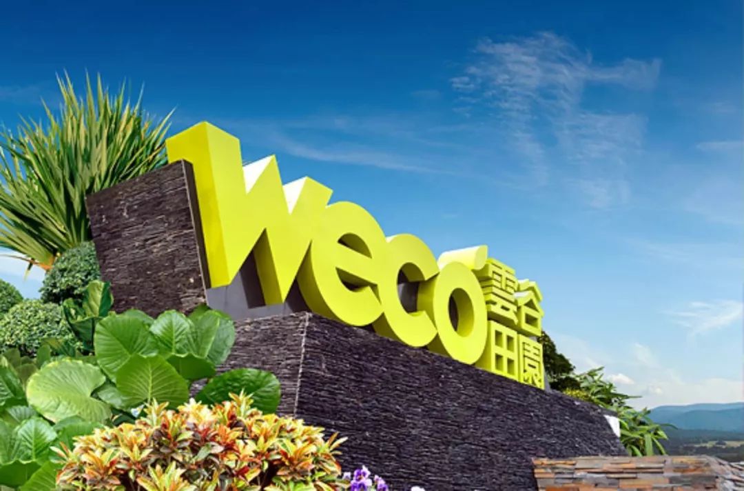 中央六部委发文支持:田园+康养+文旅是发展