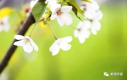 三月十八是黄道吉日吗 fbe77e346a44466b9032e3ba20957bd3.jpeg