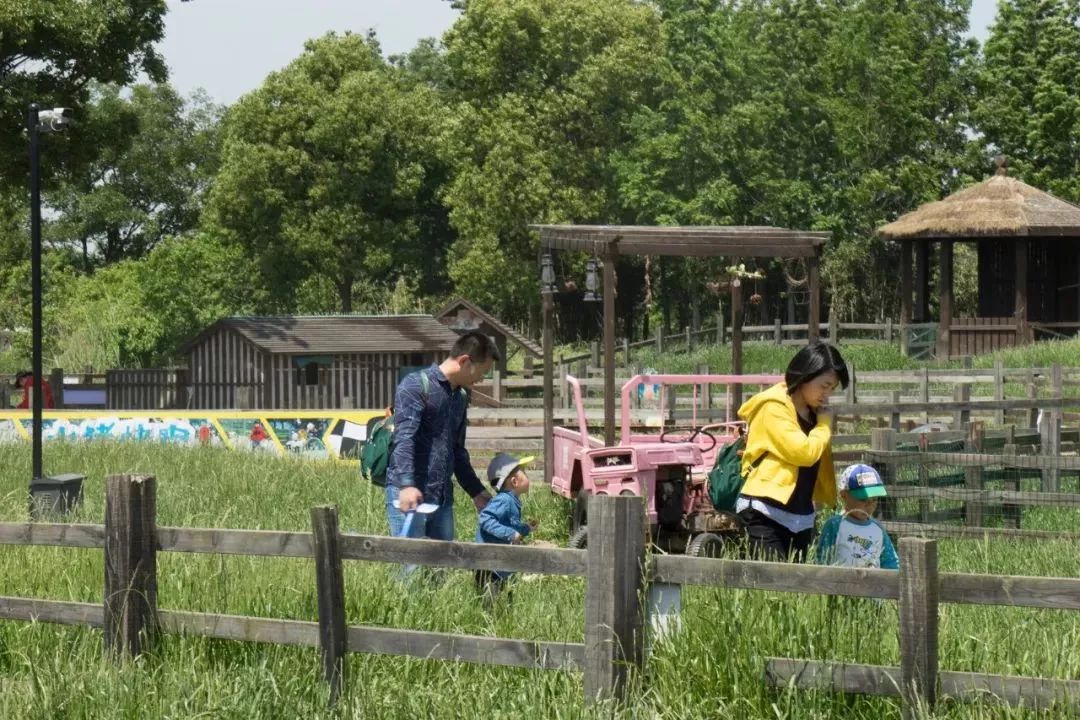 去田园东方蜜桃村必做的12件事差一件都不完美