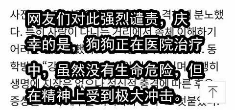 原創
            三個月大幼犬被最醉酒男子性侵：都怪你長得太可愛了！ 未分類 第3張