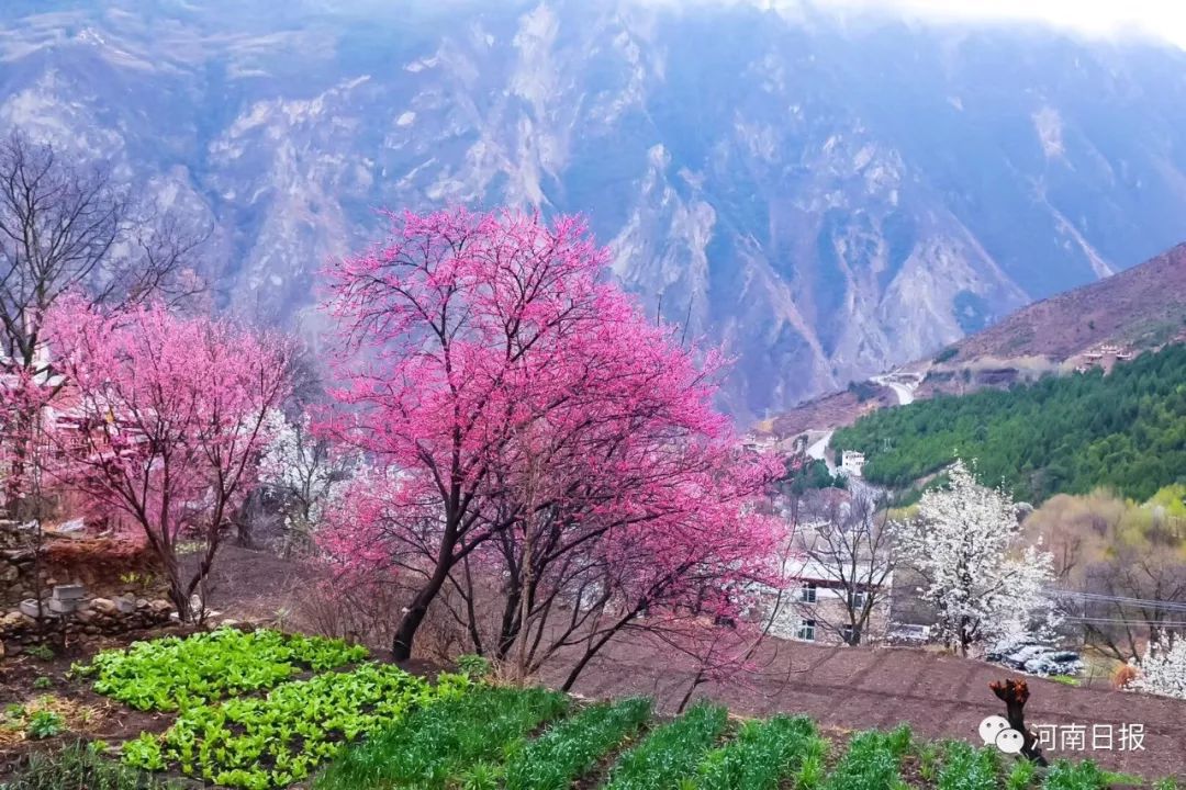 2019中部经济百强县_县域经济综合实力位列中部六省百强县第28位.2019年3月,被列为第...