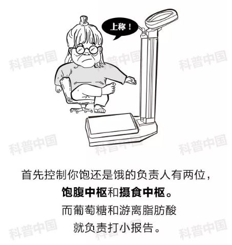 156f60b100c249e7aa46563ae08b1e57.jpeg