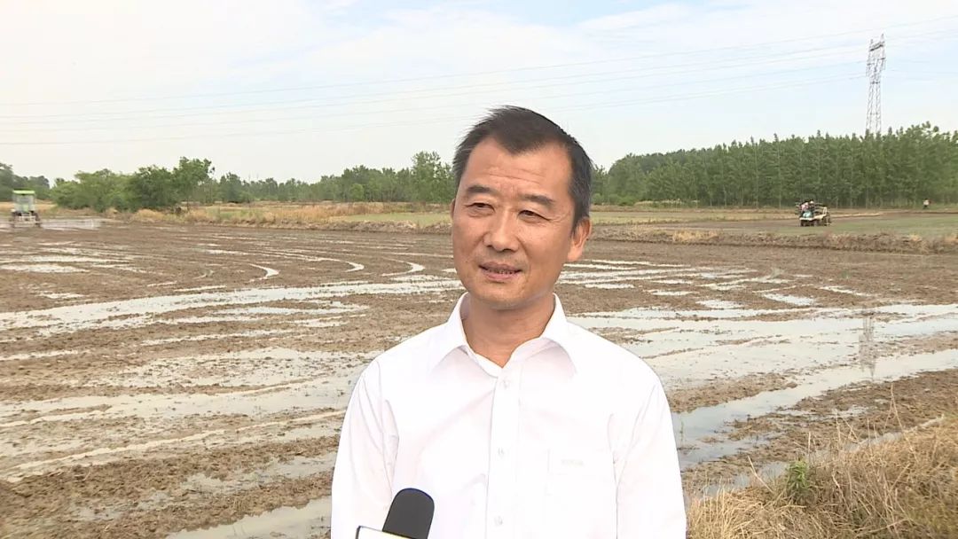 肥西个人空放 来自搜狐网