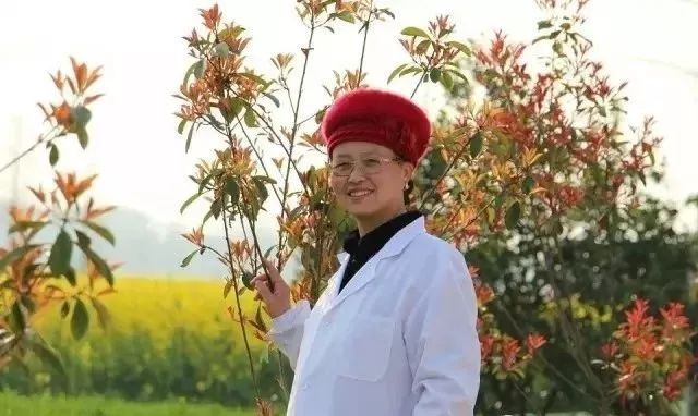 冬至梅花俏 报得人间春—记仙桃市毛嘴镇个体镶牙师彭冬梅女士