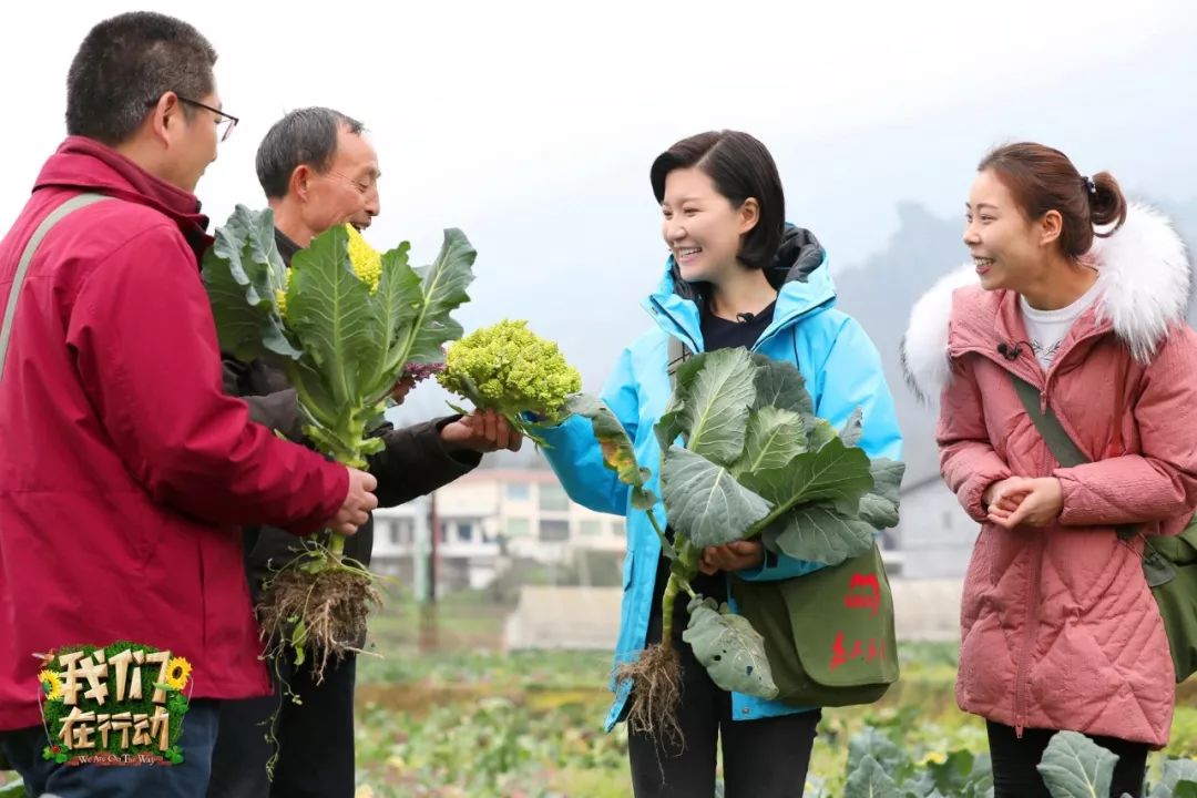 打响电视扶贫"信念之战",《我们在行动》三季产品总销售量累积破亿!