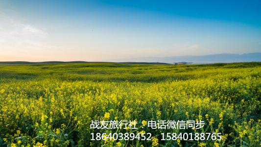 2019内蒙科尔沁草原浩坦草原一日旅游,内蒙草原旅游去哪里好,草原旅游攻略 皇冠国际娱乐网
