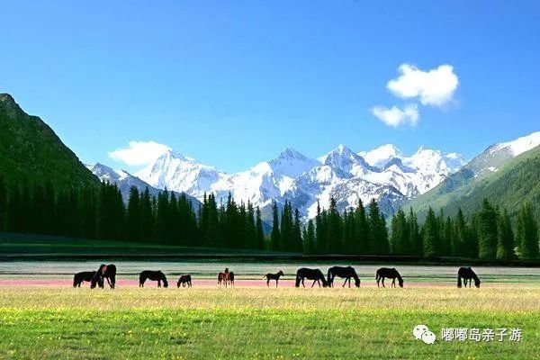 新疆旅游景点门票大全 2b01794885044747a5b800f0ca827b2b.jpeg