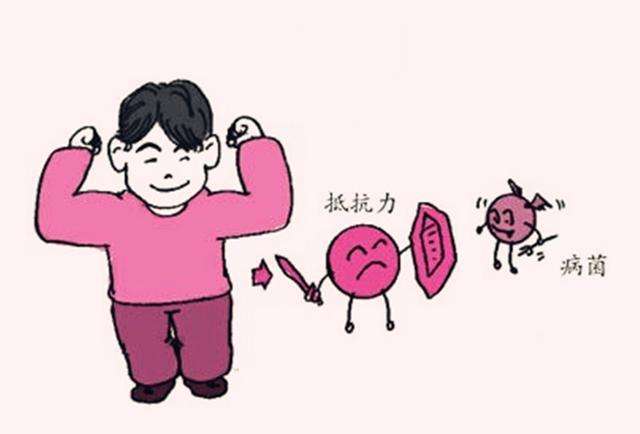 为什么有的人吃得少拉的多 2d9056aaf68a4b0eb30cdbd9071aa8cb.jpeg