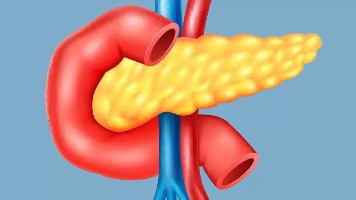 胰岛素是由什么构成的 3059a6a76ce74bfe86d5008deac4df50.jpeg