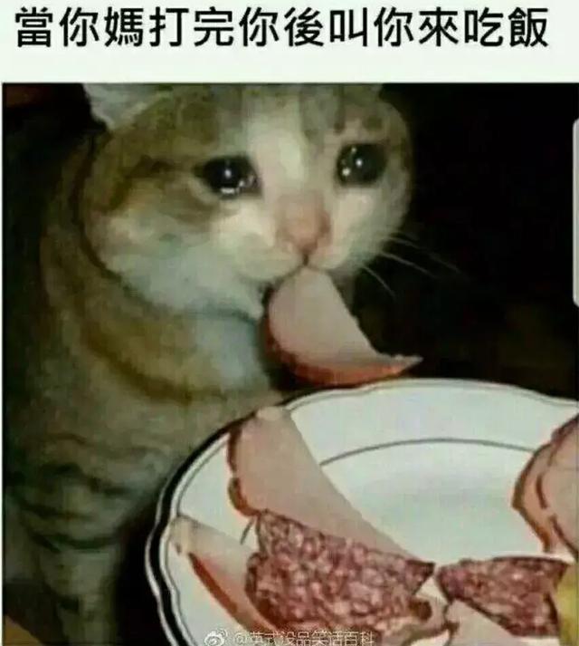 33f5c3f370f442218cab73d17e4d53bb.jpeg
