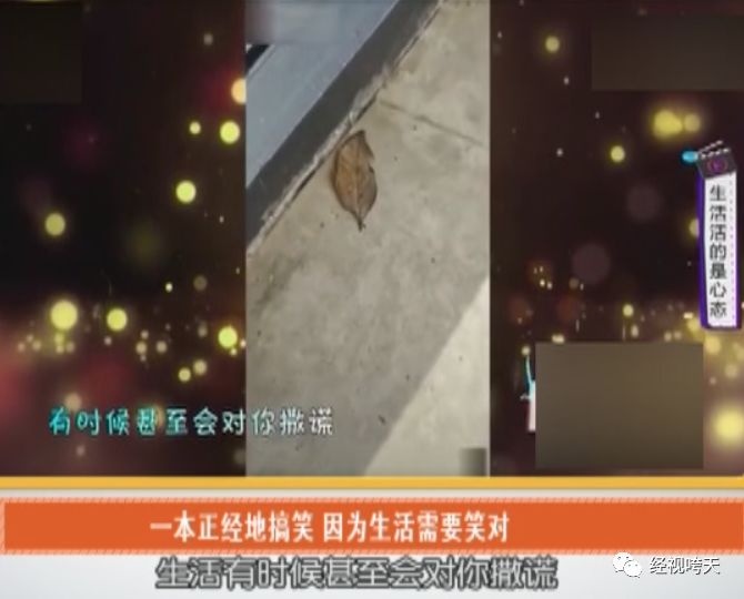 汉口国际贸易交易中心做单一直亏损?被骗亏损还能挽回吗？[汉口北国际交易中心品牌服装城]