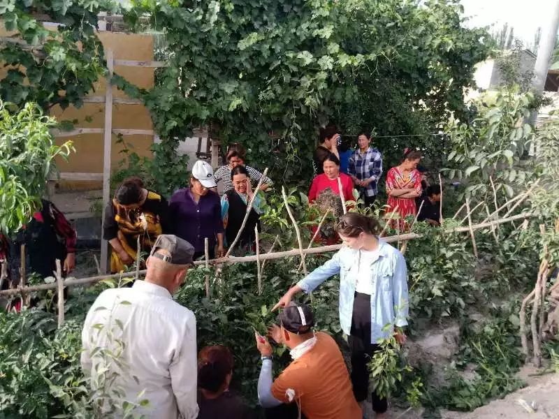 美丽环境建设岳普湖城乡面貌大变样