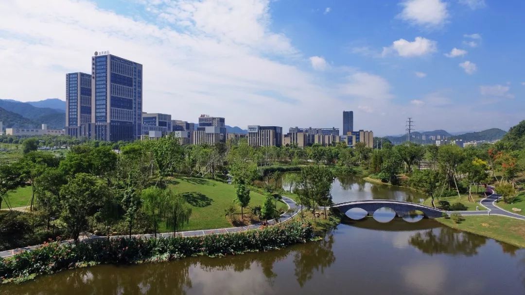 特色餐饮街区,运动场馆,三甲医院!富阳这个新区有"重头戏"!