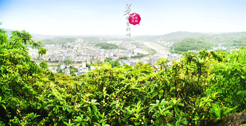 四川绵阳北川安昌圣灯山第五届枇杷节2019年5月