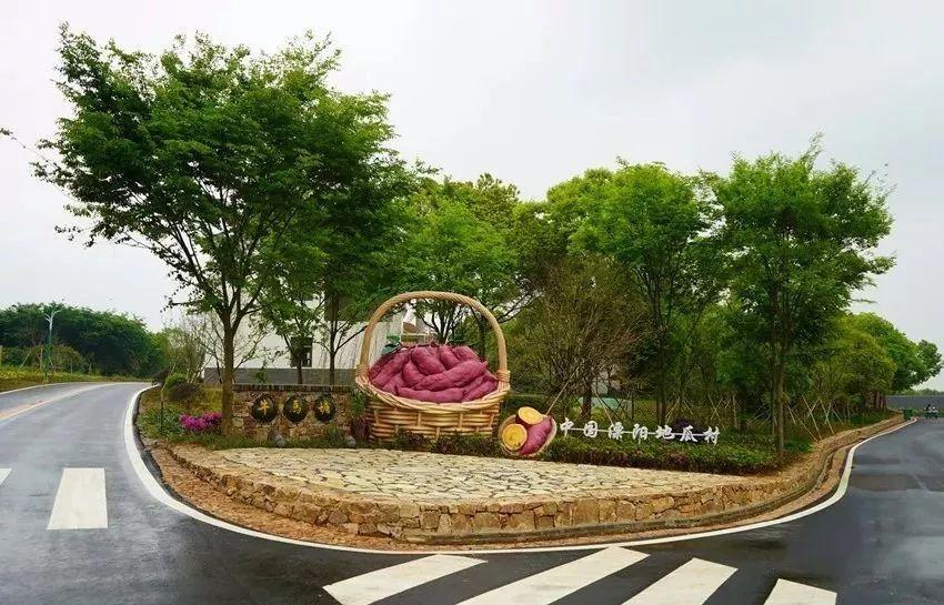 位于曹山脚下的牛马塘村,自然风景优美,为丘陵地带,有大片的原始松林