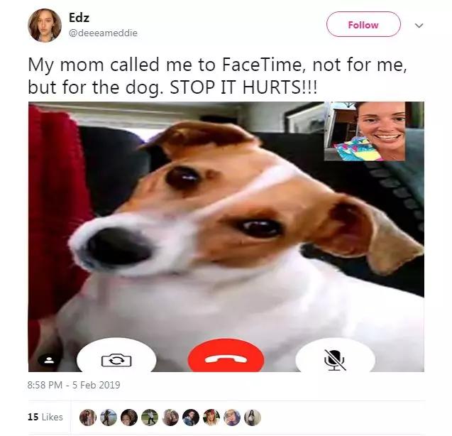 4df1e67df82542f599eb1e1fce054158.JPG
