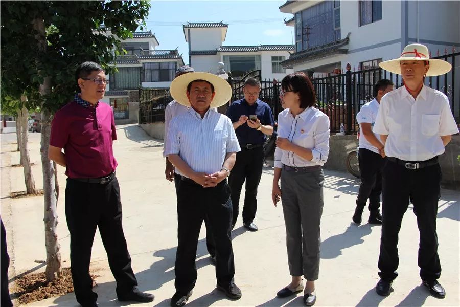 弥渡县委书记沙伟风,州级有关部门负责人,县委副书记,县长张世伟等