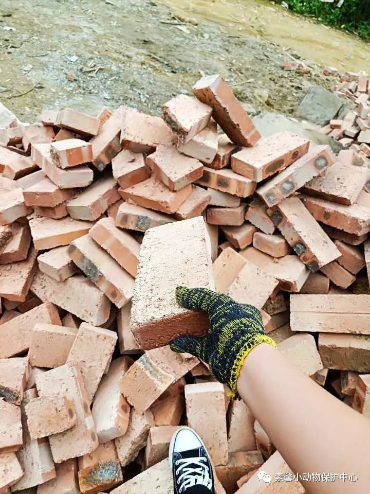 怎么能忘了一开始那堆砖砖呢也就是今天我们的主要任务啦~  搬砖啦